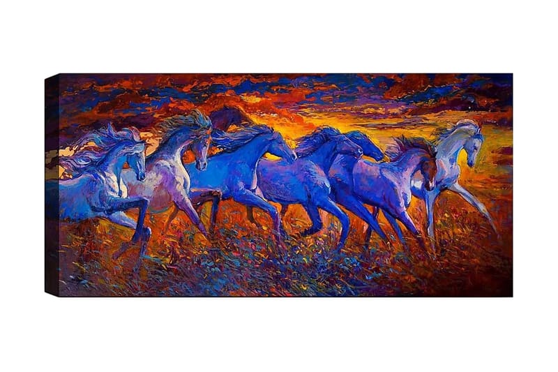 Canvasbilde YTY Animals Flerfarget - 120x50 cm - Innredning - Bilder & kunst - Lerretsbilder