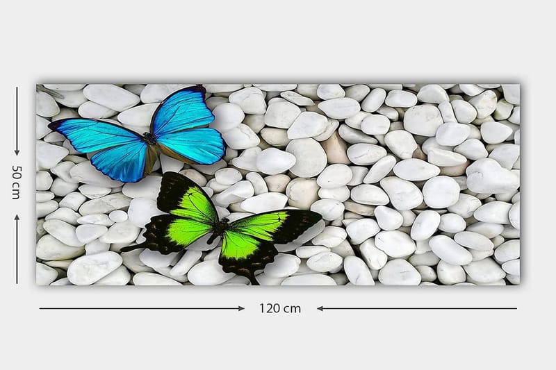 Canvasbilde YTY Animals Flerfarget - 120x50 cm - Innredning - Bilder & kunst - Lerretsbilder