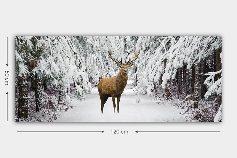 Canvasbilde YTY Animals Flerfarget - 120x50 cm - Innredning - Bilder & kunst - Lerretsbilder