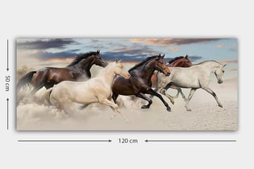 Canvasbilde YTY Animals Flerfarget - 120x50 cm - Innredning - Bilder & kunst - Lerretsbilder