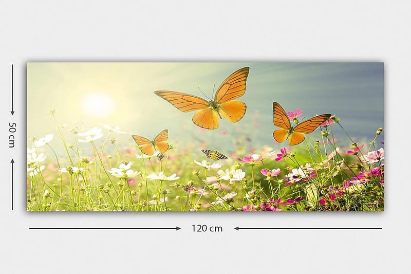 Canvasbilde YTY Animals Flerfarget - 120x50 cm - Innredning - Bilder & kunst - Lerretsbilder