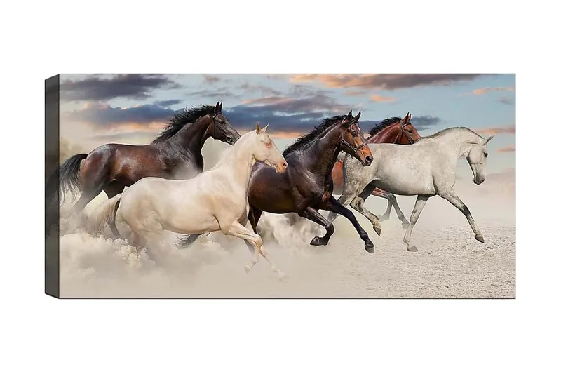 Canvasbilde YTY Animals Flerfarget, 120x50 cm