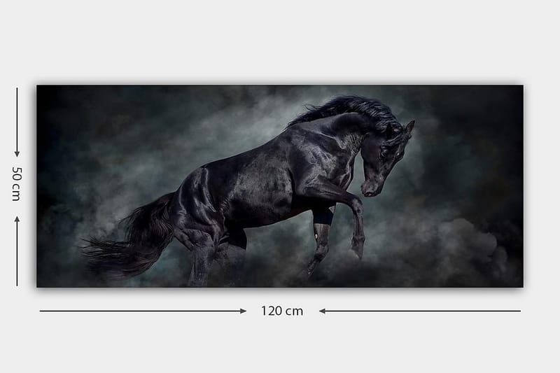 Canvasbilde YTY Animals Flerfarget - 120x50 cm - Innredning - Bilder & kunst - Lerretsbilder