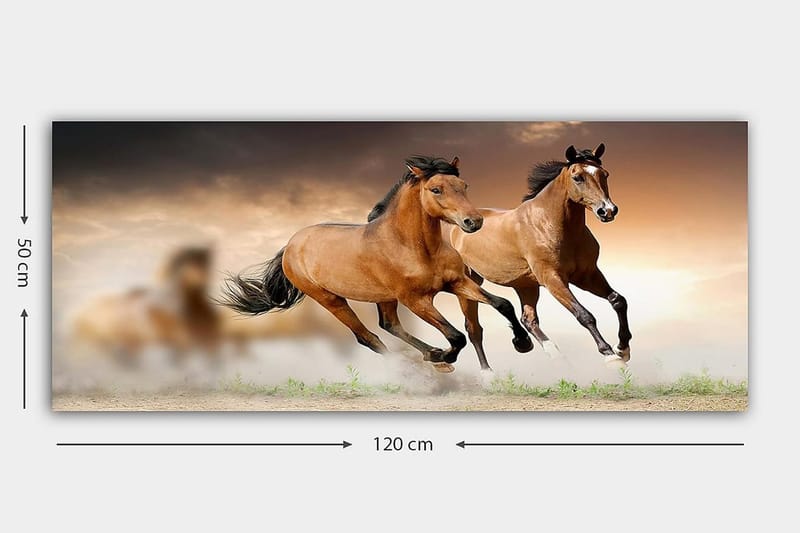 Canvasbilde YTY Animals Flerfarget - 120x50 cm - Innredning - Bilder & kunst - Lerretsbilder