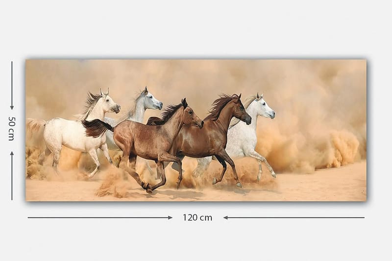 Canvasbilde YTY Animals Flerfarget - 120x50 cm - Innredning - Bilder & kunst - Lerretsbilder