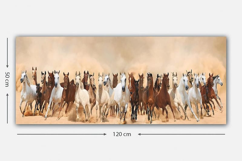 Canvasbilde YTY Animals Flerfarget - 120x50 cm - Innredning - Bilder & kunst - Lerretsbilder