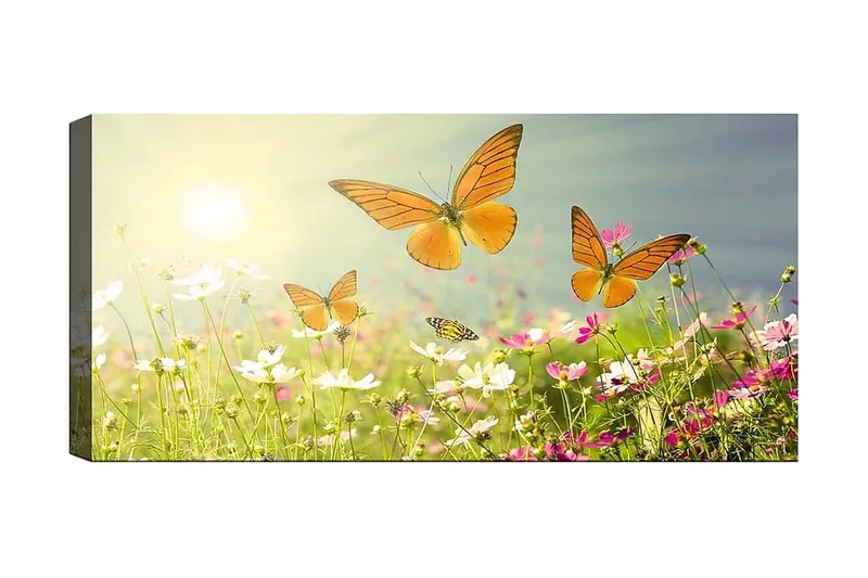 Canvasbilde YTY Animals Flerfarget, 120x50 cm