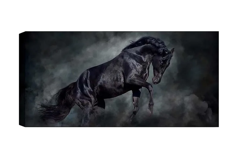 Canvasbilde YTY Animals Flerfarget, 120x50 cm