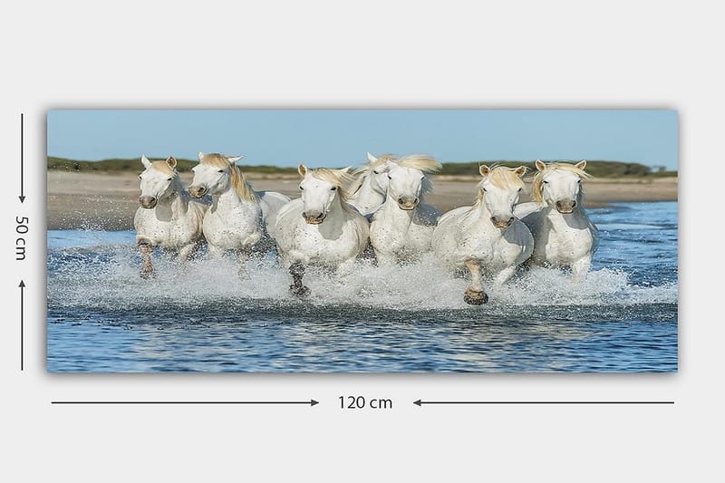 Canvasbilde YTY Animals Flerfarget - 120x50 cm - Innredning - Bilder & kunst - Lerretsbilder