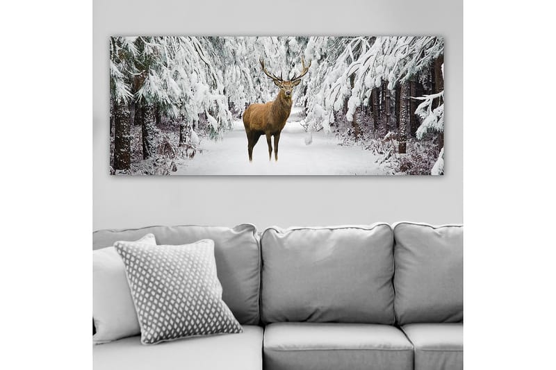 Canvasbilde YTY Animals Flerfarget - 120x50 cm - Innredning - Bilder & kunst - Lerretsbilder