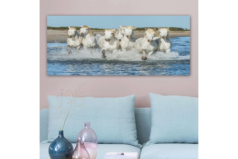 Canvasbilde YTY Animals Flerfarget - 120x50 cm - Innredning - Bilder & kunst - Lerretsbilder