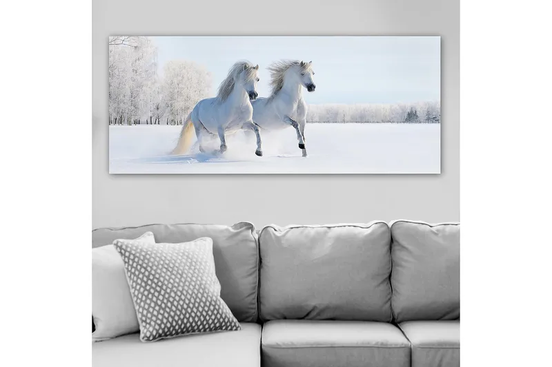 Canvasbilde YTY Animals Flerfarget - 120x50 cm - Innredning - Bilder & kunst - Lerretsbilder
