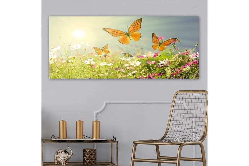 Canvasbilde YTY Animals Flerfarget - 120x50 cm - Innredning - Bilder & kunst - Lerretsbilder