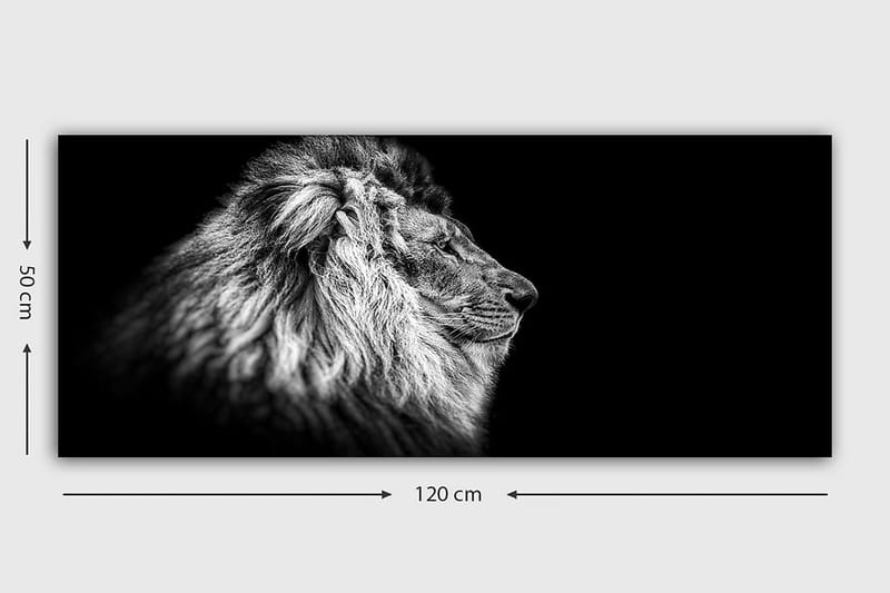 Canvasbilde YTY Animals Flerfarget - 120x50 cm - Innredning - Bilder & kunst - Lerretsbilder