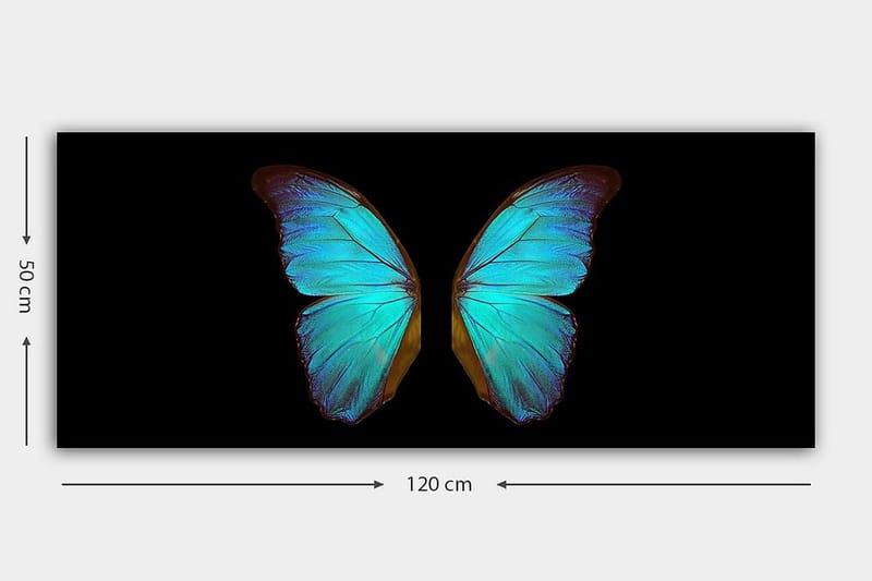 Canvasbilde YTY Animals Flerfarget - 120x50 cm - Innredning - Bilder & kunst - Lerretsbilder