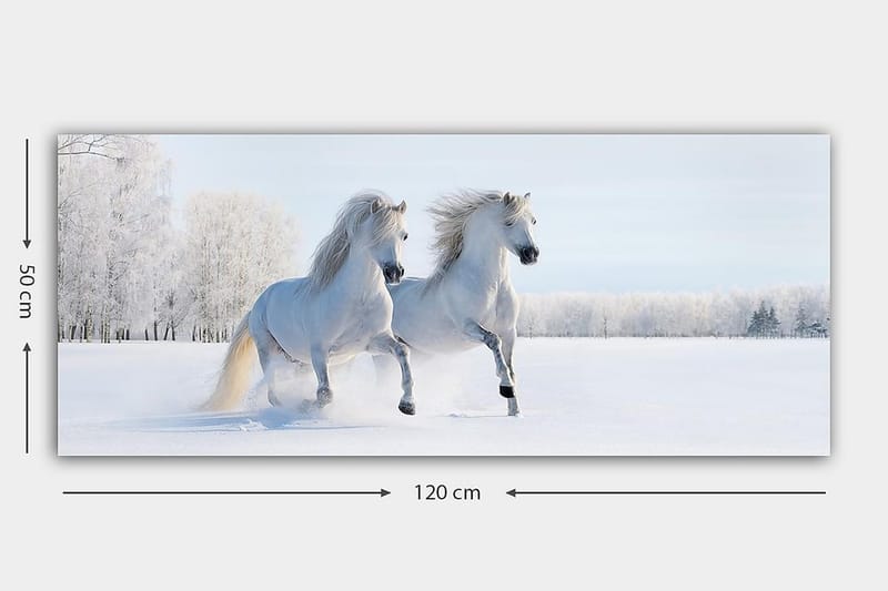 Canvasbilde YTY Animals Flerfarget - 120x50 cm - Innredning - Bilder & kunst - Lerretsbilder