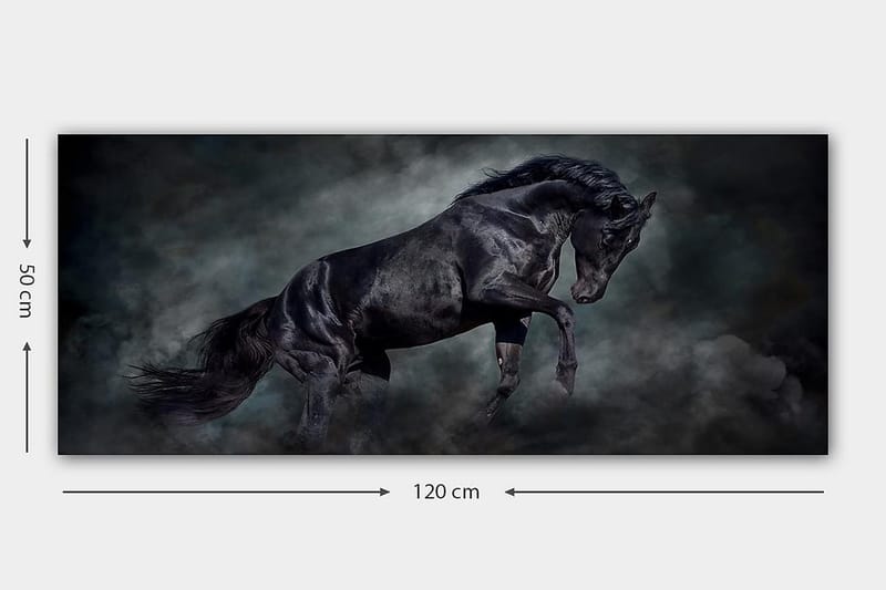Canvasbilde YTY Animals Flerfarget - 120x50 cm - Innredning - Bilder & kunst - Lerretsbilder