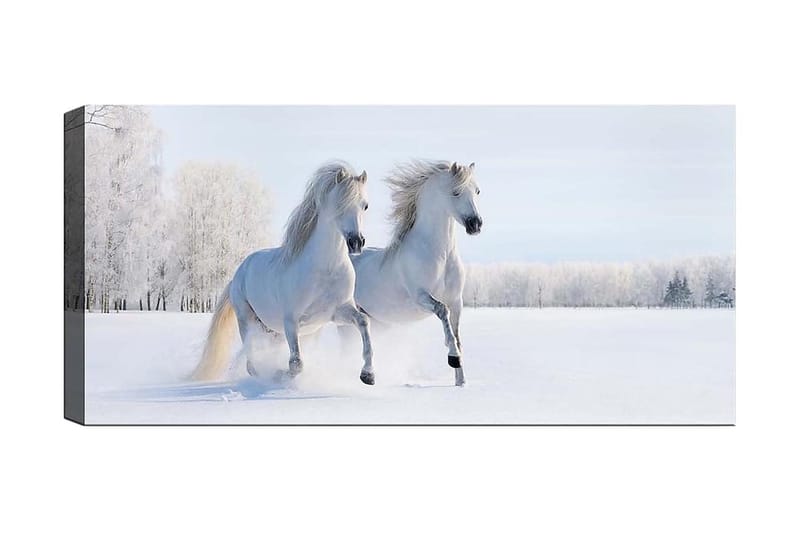 Canvasbilde YTY Animals Flerfarget, 120x50 cm