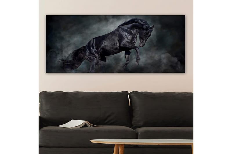 Canvasbilde YTY Animals Flerfarget - 120x50 cm - Innredning - Bilder & kunst - Lerretsbilder