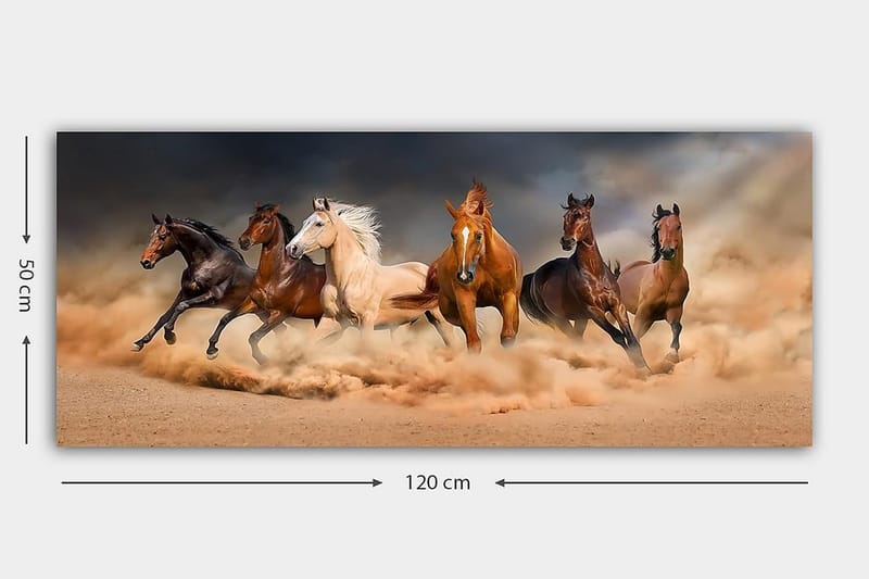 Canvasbilde YTY Animals Flerfarget - 120x50 cm - Innredning - Bilder & kunst - Lerretsbilder