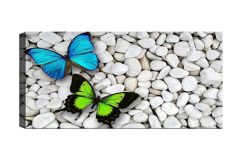 Canvasbilde YTY Animals Flerfarget - 120x50 cm - Innredning - Bilder & kunst - Lerretsbilder