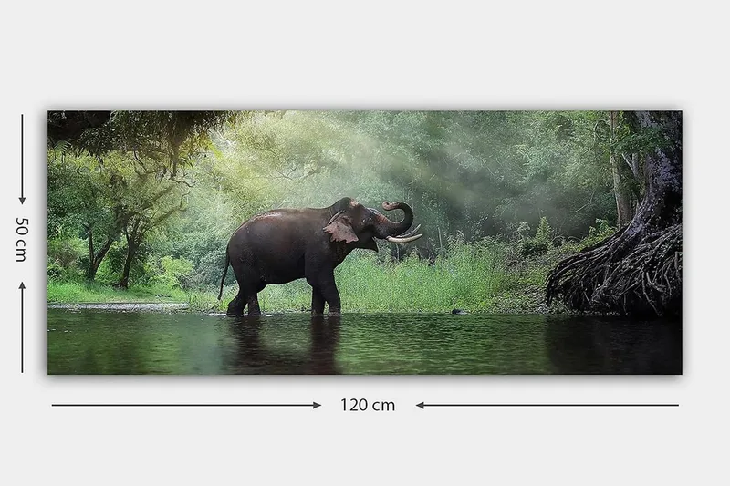 Canvasbilde YTY Animals Flerfarget - 120x50 cm - Innredning - Bilder & kunst - Lerretsbilder