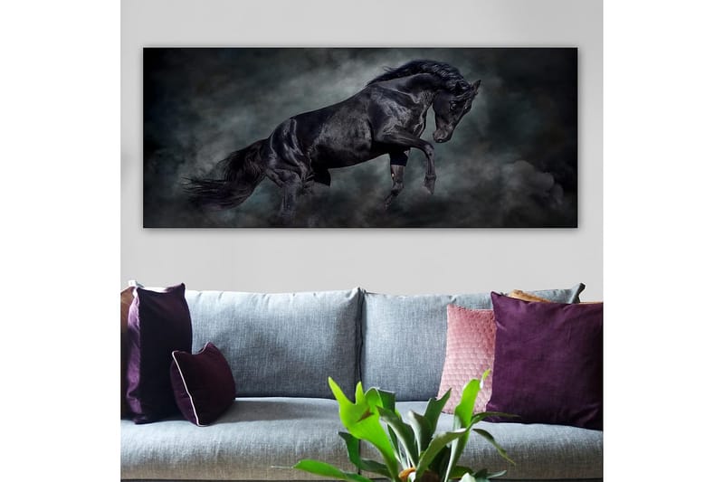 Canvasbilde YTY Animals Flerfarget - 120x50 cm - Innredning - Bilder & kunst - Lerretsbilder