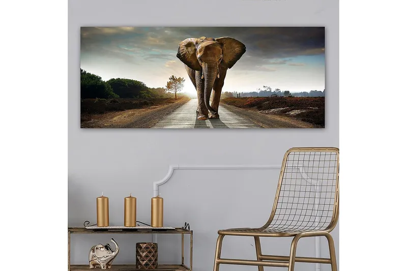 Canvasbilde YTY Animals Flerfarget - 120x50 cm - Innredning - Bilder & kunst - Lerretsbilder