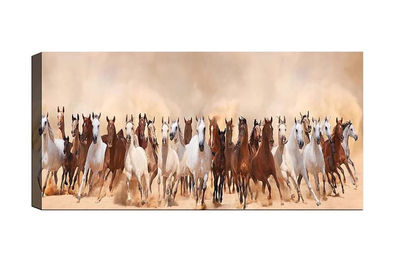 Canvasbilde YTY Animals Flerfarget - 120x50 cm - Innredning - Bilder & kunst - Lerretsbilder