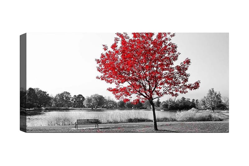 Canvasbilde YTY Floral & Botanical Flerfarget, 120x50 cm