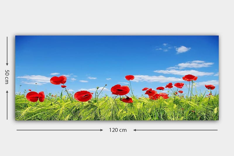 Canvasbilde YTY Floral & Botanical Flerfarget - 120x50 cm - Innredning - Bilder & kunst - Lerretsbilder