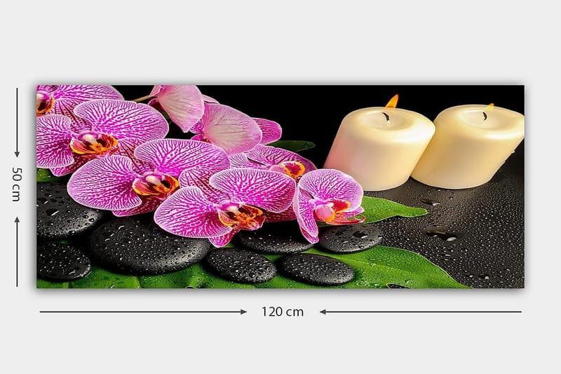 Canvasbilde YTY Floral & Botanical Flerfarget - 120x50 cm - Innredning - Bilder & kunst - Lerretsbilder