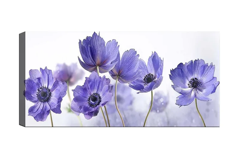 Canvasbilde YTY Floral & Botanical Flerfarget, 120x50 cm