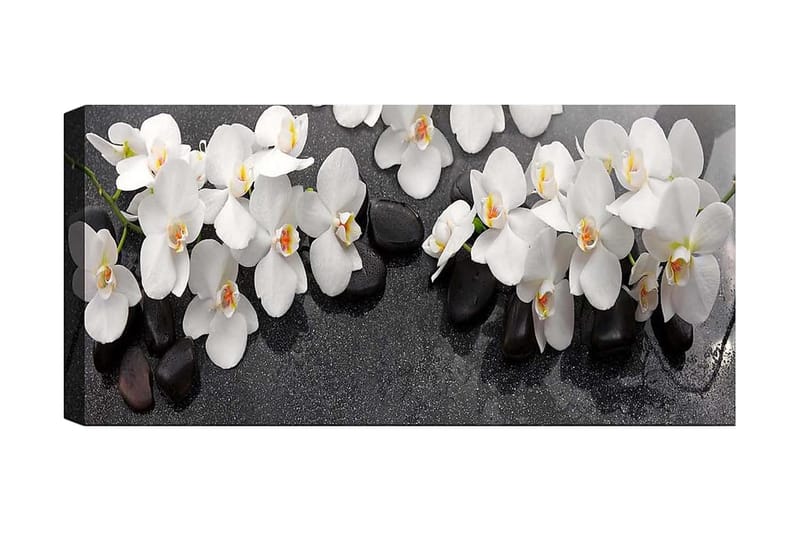 Canvasbilde YTY Floral & Botanical Flerfarget - 120x50 cm - Innredning - Bilder & kunst - Lerretsbilder