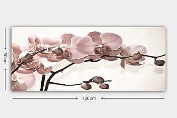 Canvasbilde YTY Floral & Botanical Flerfarget - 120x50 cm - Innredning - Bilder & kunst - Lerretsbilder