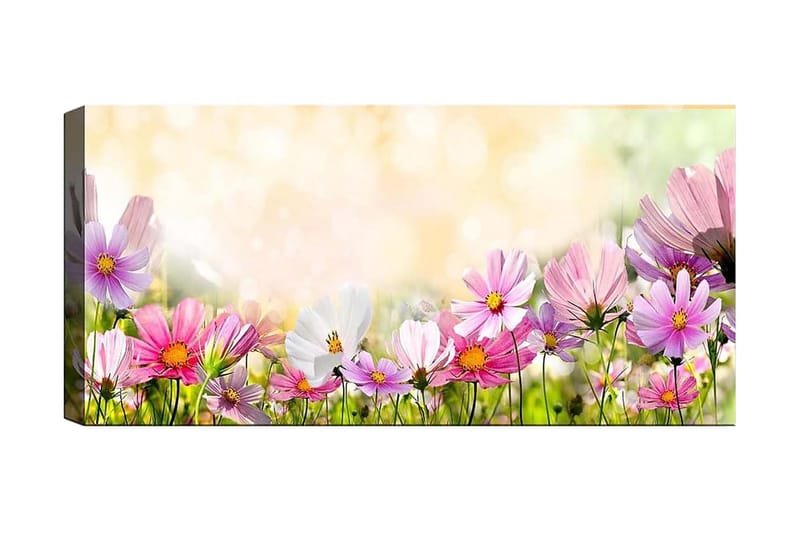 Canvasbilde YTY Floral & Botanical Flerfarget - 120x50 cm - Innredning - Bilder & kunst - Lerretsbilder