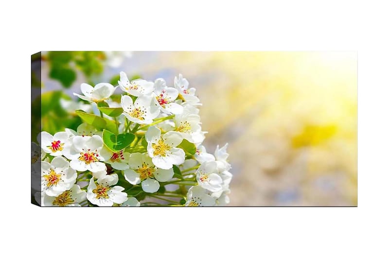 Canvasbilde YTY Floral & Botanical Flerfarget - 120x50 cm - Innredning - Bilder & kunst - Lerretsbilder