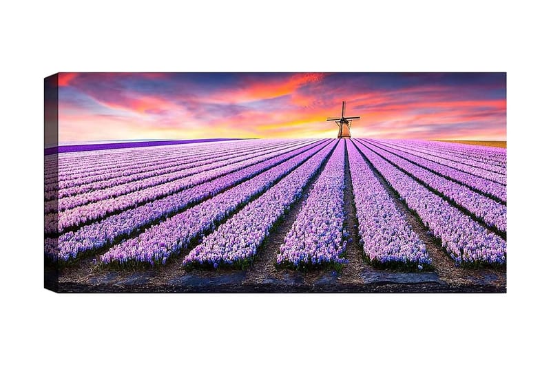 Canvasbilde YTY Floral & Botanical Flerfarget - 120x50 cm - Innredning - Bilder & kunst - Lerretsbilder