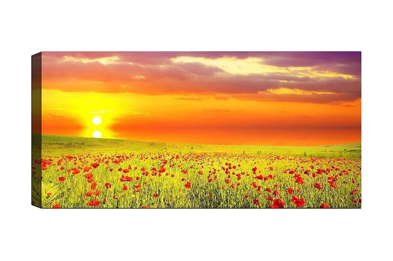 Canvasbilde YTY Floral & Botanical Flerfarget - 120x50 cm - Innredning - Bilder & kunst - Lerretsbilder