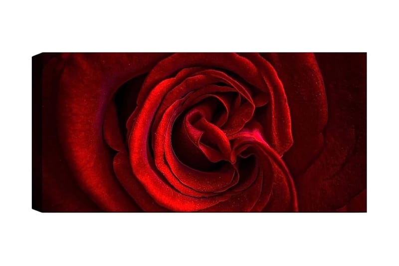 Canvasbilde YTY Floral & Botanical Flerfarget - 120x50 cm - Innredning - Bilder & kunst - Lerretsbilder