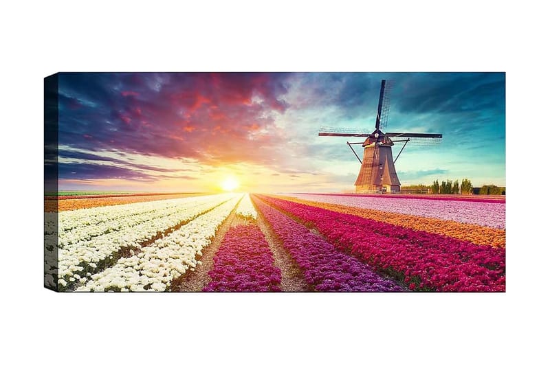 Canvasbilde YTY Floral & Botanical Flerfarget - 120x50 cm - Innredning - Bilder & kunst - Lerretsbilder