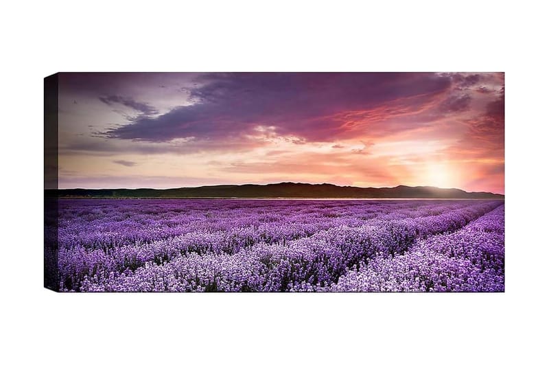 Canvasbilde YTY Floral & Botanical Flerfarget - 120x50 cm - Innredning - Bilder & kunst - Lerretsbilder
