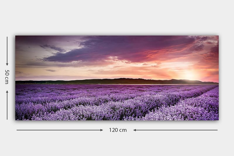 Canvasbilde YTY Floral & Botanical Flerfarget - 120x50 cm - Innredning - Bilder & kunst - Lerretsbilder