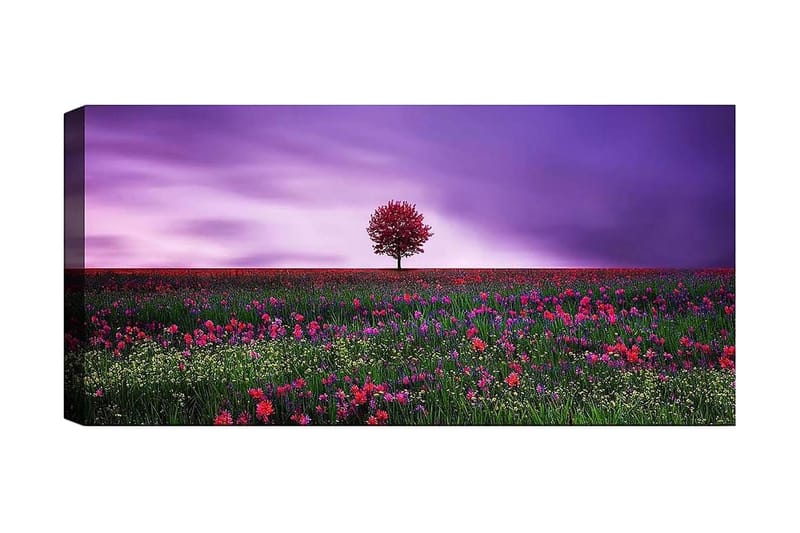Canvasbilde YTY Floral & Botanical Flerfarget - 120x50 cm - Innredning - Bilder & kunst - Lerretsbilder