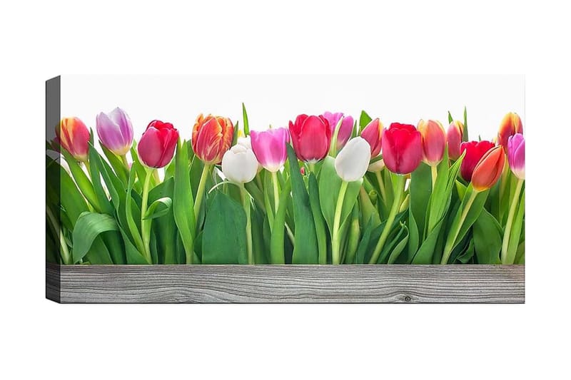 Canvasbilde YTY Floral & Botanical Flerfarget - 120x50 cm - Innredning - Bilder & kunst - Lerretsbilder