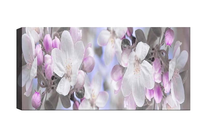 Canvasbilde YTY Floral & Botanical Flerfarget - 120x50 cm - Innredning - Bilder & kunst - Lerretsbilder