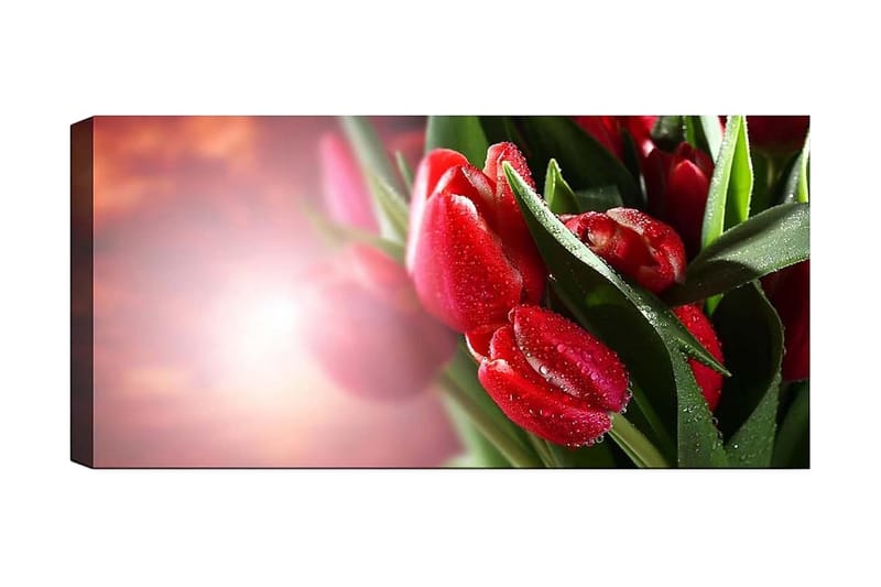 Canvasbilde YTY Floral & Botanical Flerfarget - 120x50 cm - Innredning - Bilder & kunst - Lerretsbilder