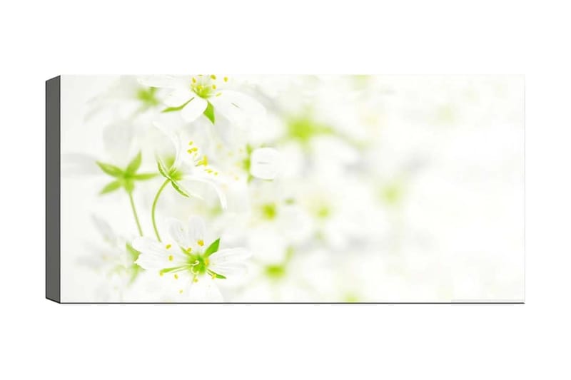 Canvasbilde YTY Floral & Botanical Flerfarget - 120x50 cm - Innredning - Bilder & kunst - Lerretsbilder