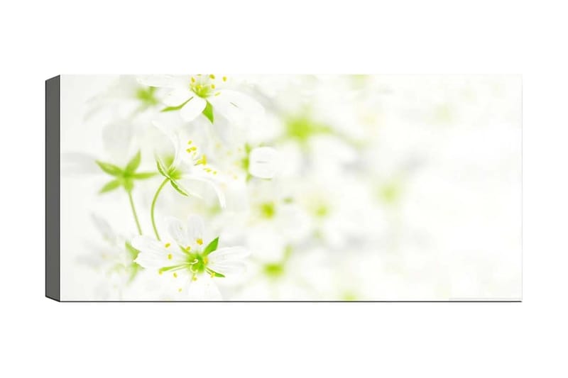 Canvasbilde YTY Floral & Botanical Flerfarget - 120x50 cm - Lerretsbilder