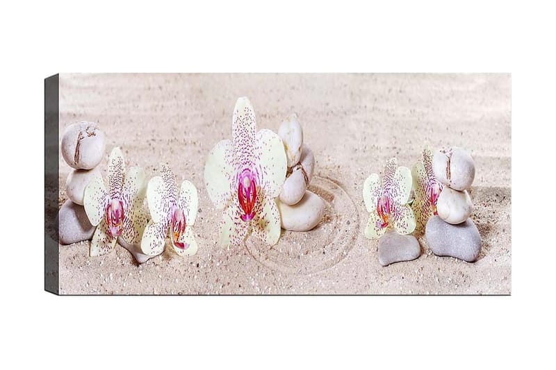 Canvasbilde YTY Floral & Botanical Flerfarget - 120x50 cm - Innredning - Bilder & kunst - Lerretsbilder